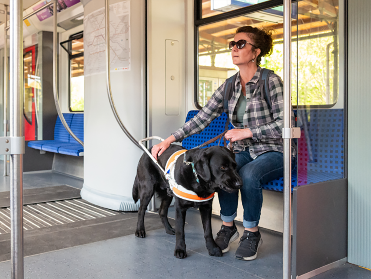 A person sitting in a train with their service animal.
